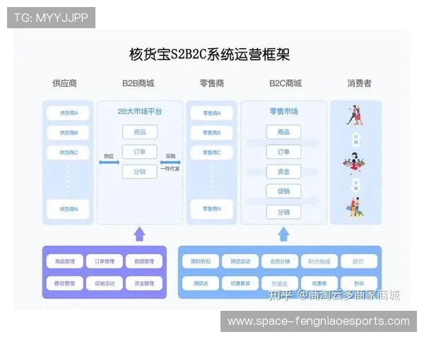 体育服务供应链重构层级关系,形成网状协作生态